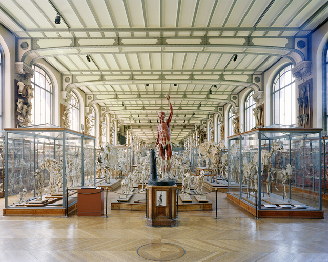 Richard Barnes, ‘Flayed Man, MCA Paris’, 2006, Photography, Archival Inkjet Print, Headlands Center for the Arts Benefit Auction