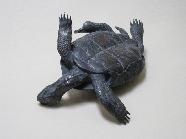 Mark Calderon, ‘Untitled (tortoise)’, 2010, Nancy Hoffman Gallery