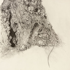 Elizabeth Ahn Toupin