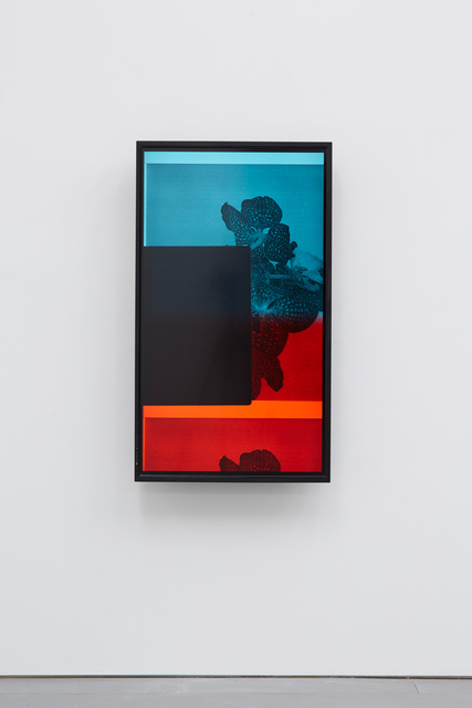 Maria Taniguchi, ‘I see, it feels’, 2015, carlier | gebauer