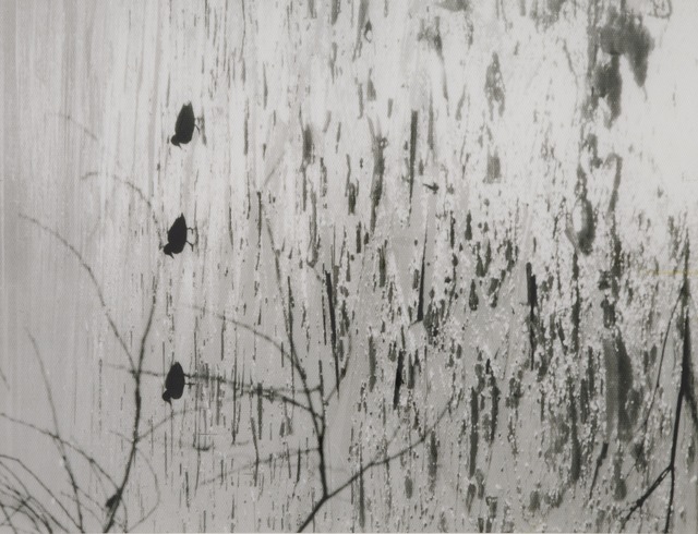 Marlo Pascual, ‘Untitled’, 2012, Mixed Media, Pigment print on somerset velvet, Casey Kaplan