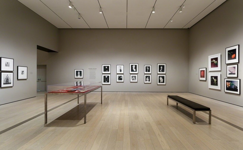 Installation photograph of "Robert Mapplethorpe: The Perfect Medium" March 20, 2016–July 31, 2016. Photo: © 2016 Museum Associates/LACMA. Artwork © Robert Mapplethorpe Foundation Installation photograph of "Robert Mapplethorpe: The Perfect Medium" March 20, 2016–July 31, 2016. Photo: © 2016 Museum Associates/LACMA. Artwork © Robert Mapplethorpe Foundation
