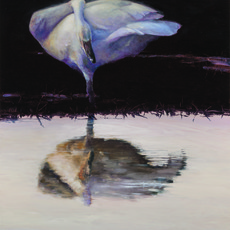 Kent Lovelace