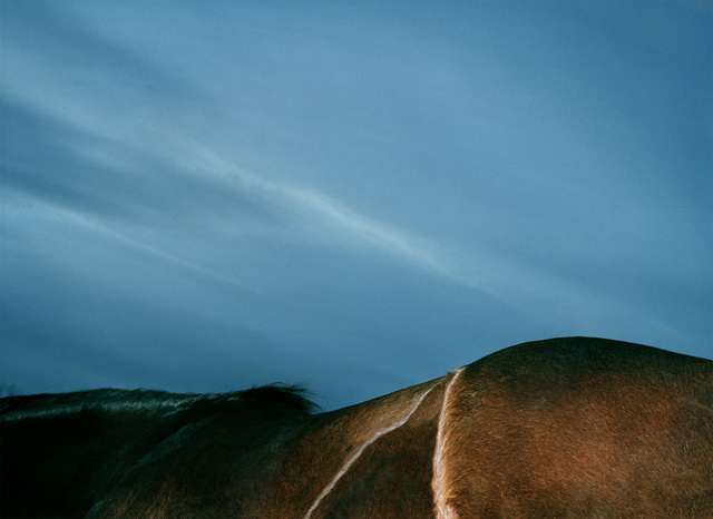 Leon Steele, ‘Pelage Ridgeway’, 2002, Photography, Chromogenic Print, Wren London