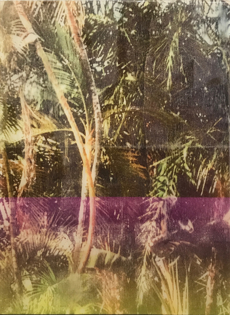 Ernesto Cánovas, ‘Botanic XXXIII’, 2017, Ambacher Contemporary