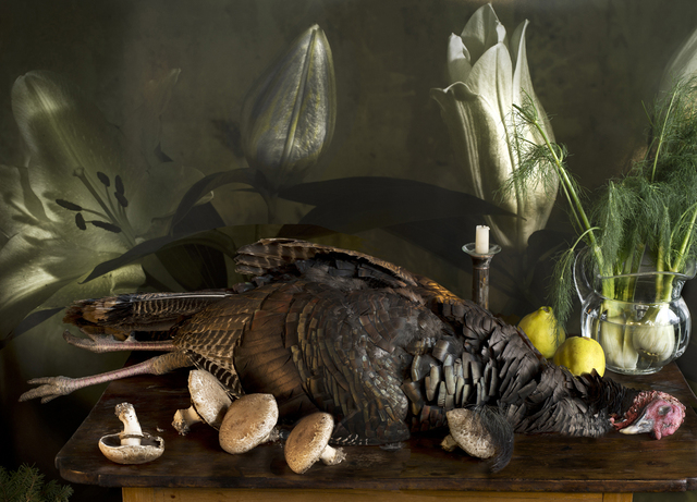 Vera Mercer, ‘Wild Turkey’, 2011, Galerie Jordanow