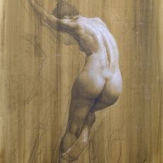 Shane Wolf