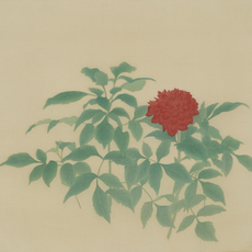 詹琇鈐 Chan Hsiu-Chien