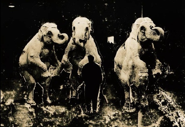 Osheen Harruthoonyan, ‘The Conductor’, 2007, Photography, Toned gelatin silver print, Lonsdale Gallery