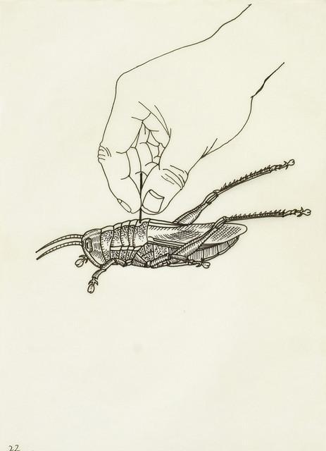 Sun Xun 孫遜, ‘Instantaneous Power’, 2003, Video/Film/Animation, Single-channel animation, ShanghART