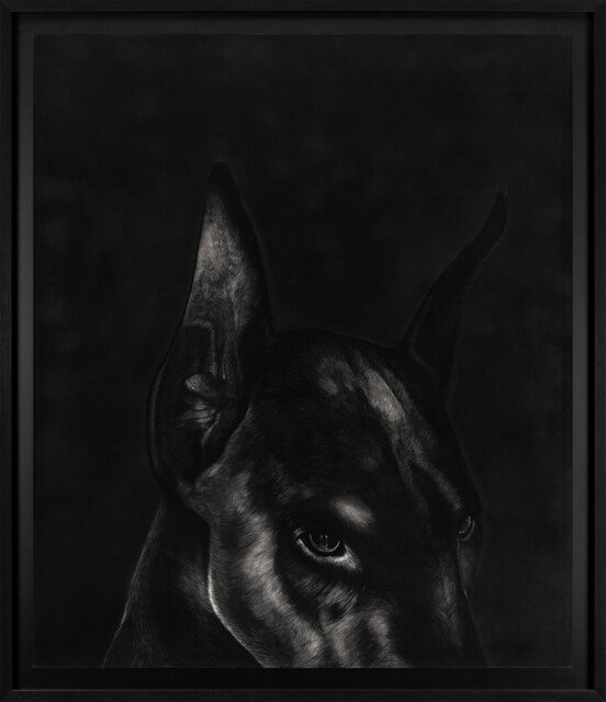 Midnight Sentinel