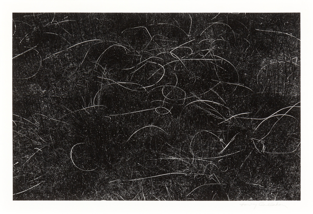 Harry Callahan, ‘Grasses, Wisconsin’, 1959, Hindman