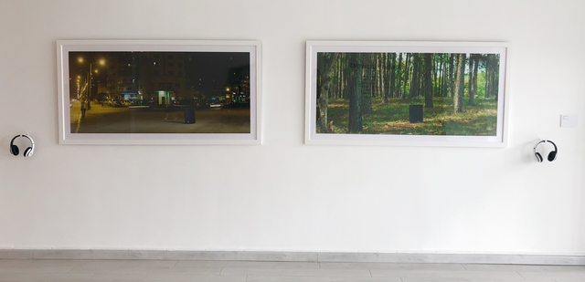 Rafael Villares, NG Art Gallery