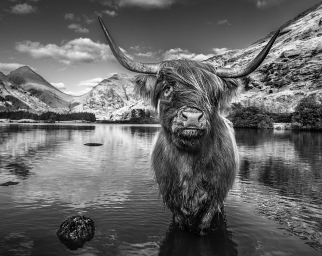 David Yarrow, ‘Glen Etive’, 2019, Fineart Oslo