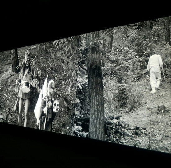 Park Chan-kyong, Citizen's Forest, 2016. Video (b&w), directional sound. 27 minutes. Courtesy of Art Sonje Center and the Taipei Biennial 2016. Park Chan-kyong, Citizen's Forest, 2016. Video (b&w), directional sound. 27 minutes. Courtesy of Art Sonje Center and the Taipei Biennial 2016.
