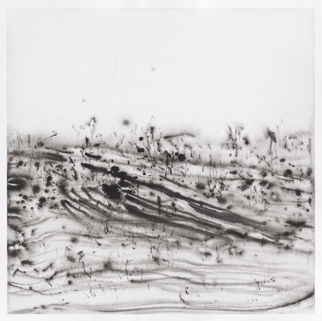 Untitled — Çağla Köseoğulları (2018)