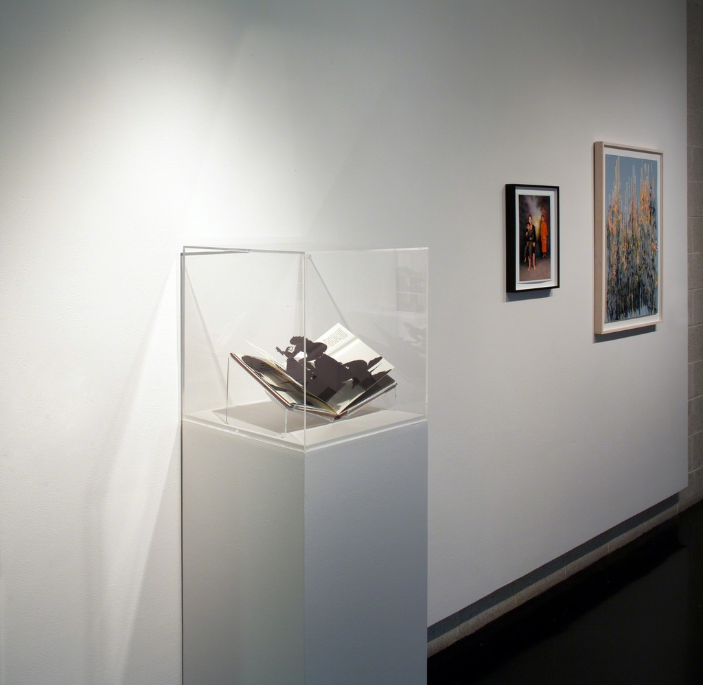Installation view, We Will Control the Vertical, Tang Teaching Museum, 2016, photo by Arthur Evans Installation view, We Will Control the Vertical, Tang Teaching Museum, 2016, photo by Arthur Evans