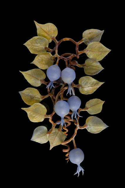 Kathleen Elliot, ‘Periwinkle Vine’, 2007, Sculpture, Flameworked glass, HABATAT