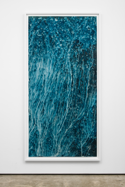 Meghann Riepenhoff, ‘Ecotone #902 (Bainbridge Island, WA 07.02.20, Hillside and Understory Throughfall, Showers)’, 2020, Photography, Dynamic cyanotype, Lora Reynolds Gallery