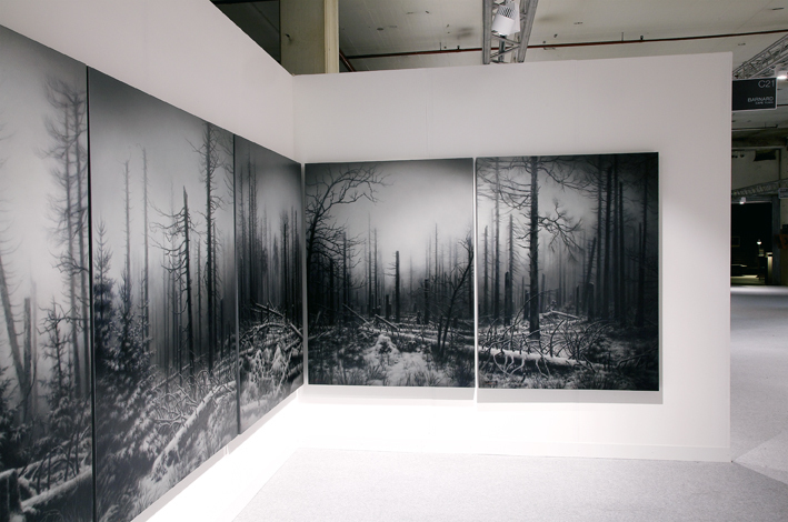 Nemora installation Nemora installation