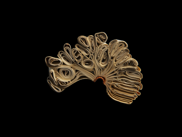 Richard Finkelstein, ‘Sir Robert Morton's Wig’, 2018, Photography, Archival pigment print, Robert Mann Gallery
