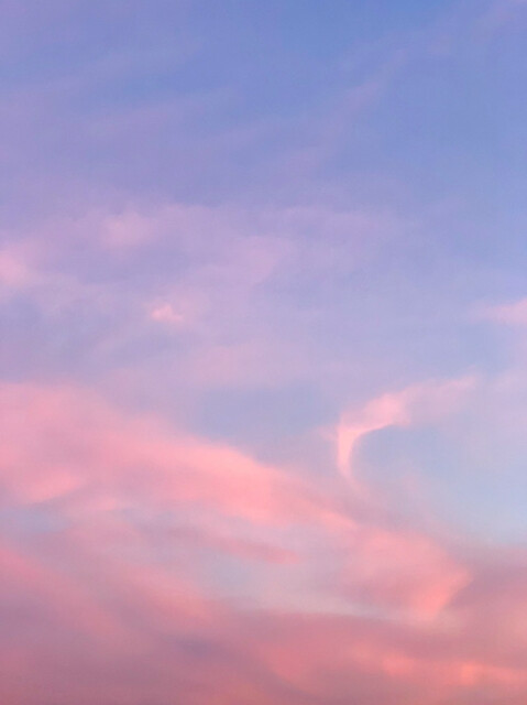 Untitled #15