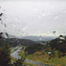 Dan Hays