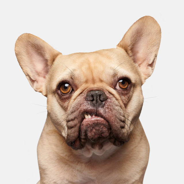 Randal Ford, ‘Franklin ’, 2020, Photography, Digital C Print, Isabella Garrucho Fine Art