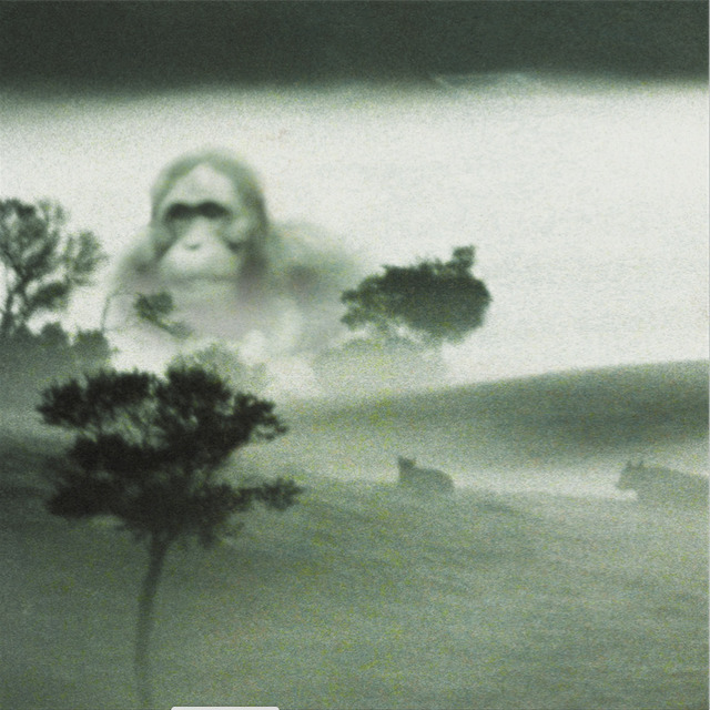 Lisa Roet, ‘Napoleon 2’, 2001, MARS