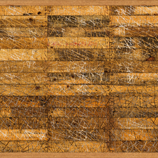 Willem Boshoff, Crossfire (2018)