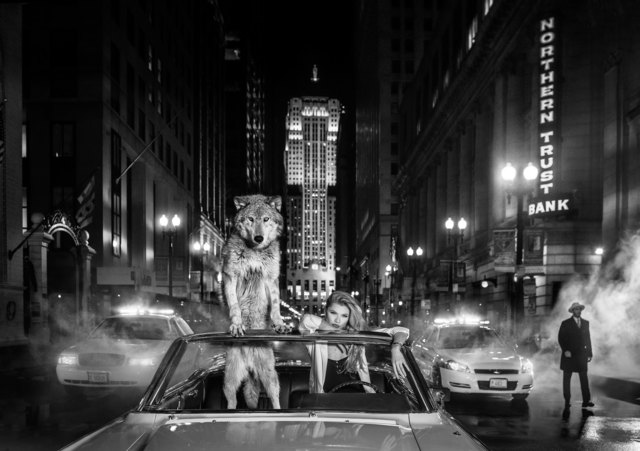 David Yarrow, ‘Chicago’, ca. 2019, Samuel Lynne Galleries
