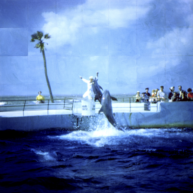 Isca Greenfield-Sanders, ‘Dolphins’, 2010, Galerie Klüser