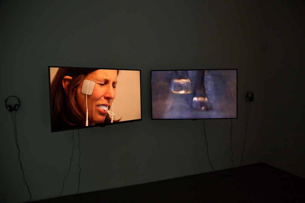 Installation view: Janet Biggs, within touching distance, 2015. Cristin Tierney Gallery, New York. Installation view: Janet Biggs, within touching distance, 2015. Cristin Tierney Gallery, New York.