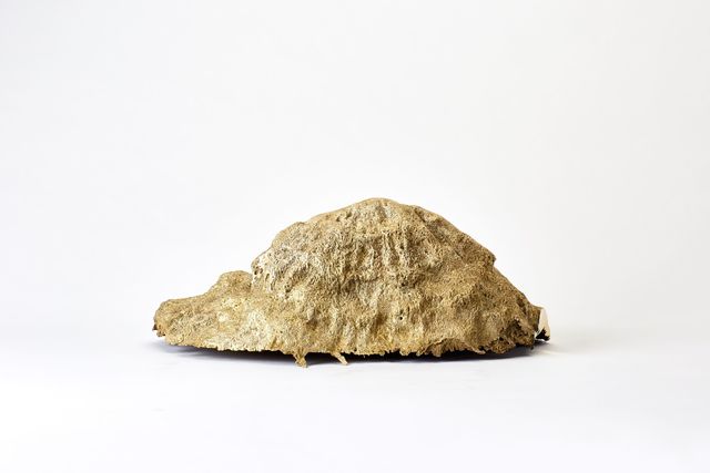 Shinji Turner-Yamamoto, ‘Pentimenti #70’, 2018, Sapar Contemporary