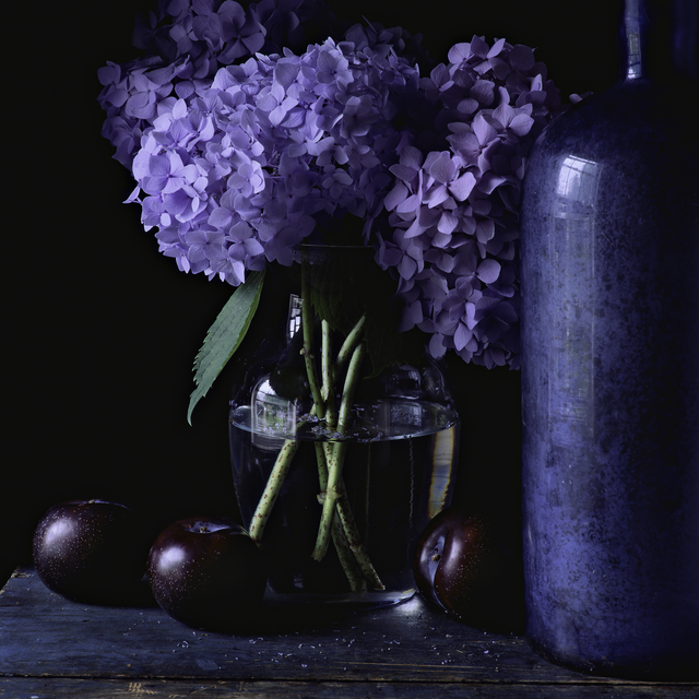 Paul Cary Goldberg, ‘Still Life with Hydrangea and Plums’, Pucker Gallery