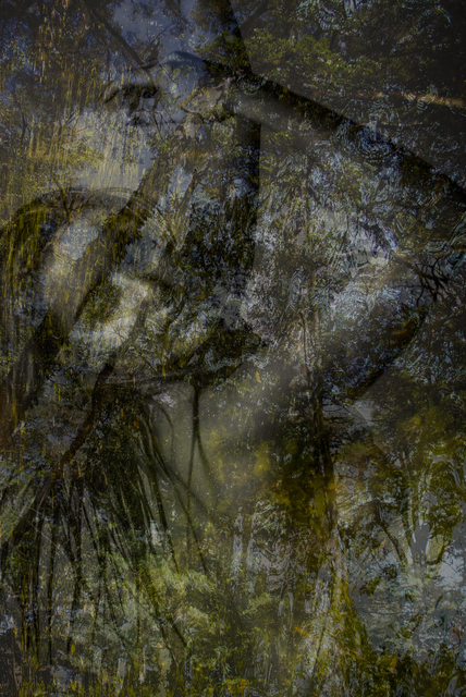 Paulo de Tarso Penna da Costa, ‘REFLECTER IN ORIGIN’, 2017, Galeria Arte & Fotografia