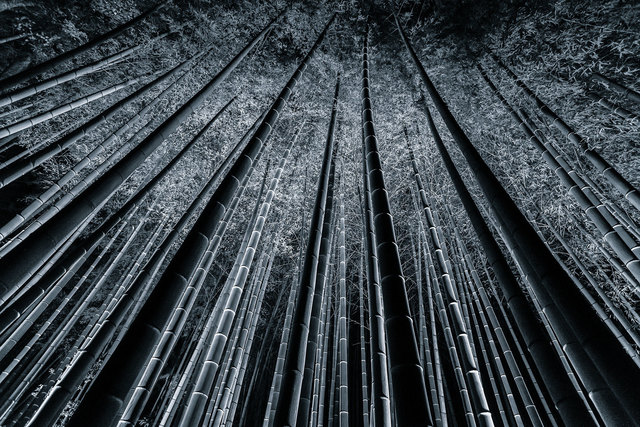Takeo Hirose, ‘Skyscrapers No.1’, 2018, Photography, Archival Pigment Print, BBA Gallery