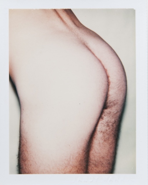 Andy Warhol, ‘Andy Warhol, Polaroid Photograph from the 'Sex Parts and Torsos' Series’, 1977, Hedges Projects