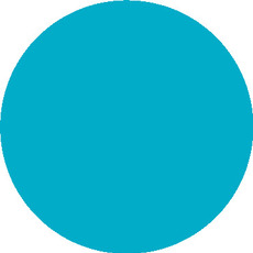 3125C Galleria logo