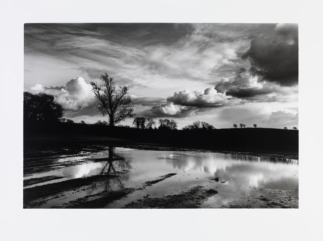 Don McCullin, ‘A flooded field near my house in Somerset’, 2016, Photography, Gelatin Silver Print, Hauser & Wirth