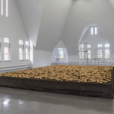 Ximena Garrido-Lecca: Germinations