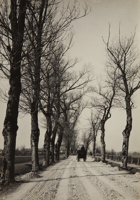 Alfred Stieglitz, ‘November Days’, 1887, Photography, Gelatin silver print, printed 1920s or 1930s, flush-mounted and mounted again, Phillips