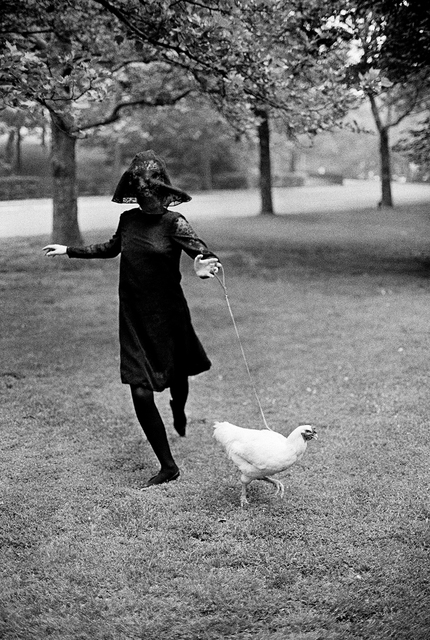 Jerry Schatzberg, ‘Chicken’, 1964, Nikola Rukaj Gallery