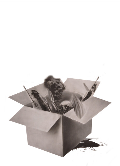 What's in the Box?