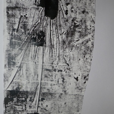 Aracelly Scheper