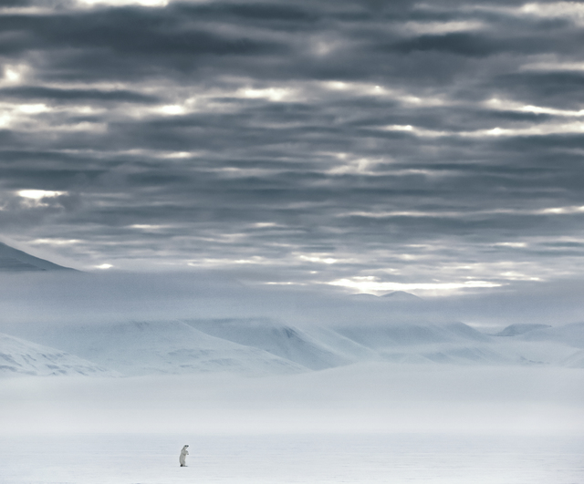 David Yarrow, ‘The North Remembers’, 2019, Fineart Oslo