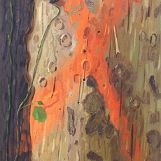 Josephine Halvorson, X (2017)