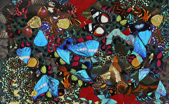 Nathalia Edenmont, ‘Mastery’, 2013, Nancy Hoffman Gallery