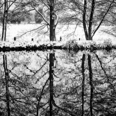 Weldon Brewster
