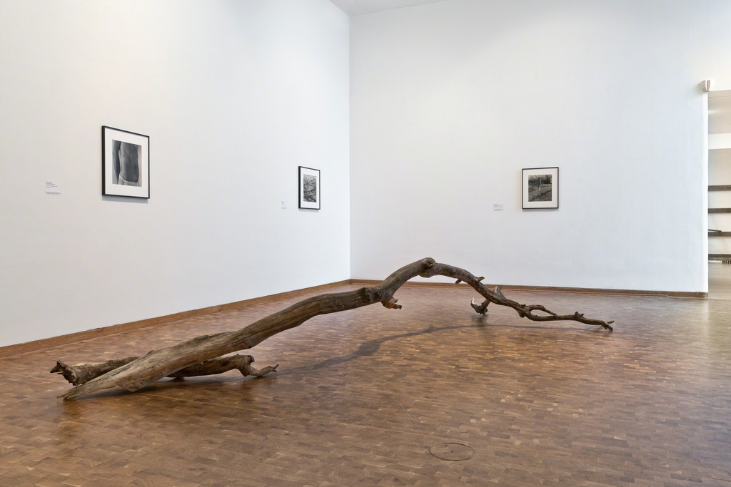 Installation view of "Danh Võ: Ydob eht ni mraw si ti" at Museum Ludwig, Cologne (2015) Installation view of "Danh Võ: Ydob eht ni mraw si ti" at Museum Ludwig, Cologne (2015)